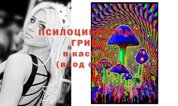 МДПВ Покачи