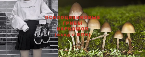 молекула духа Абдулино
