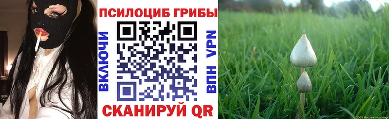 mega сайт  Агрыз  Псилоцибиновые грибы мицелий  наркошоп 